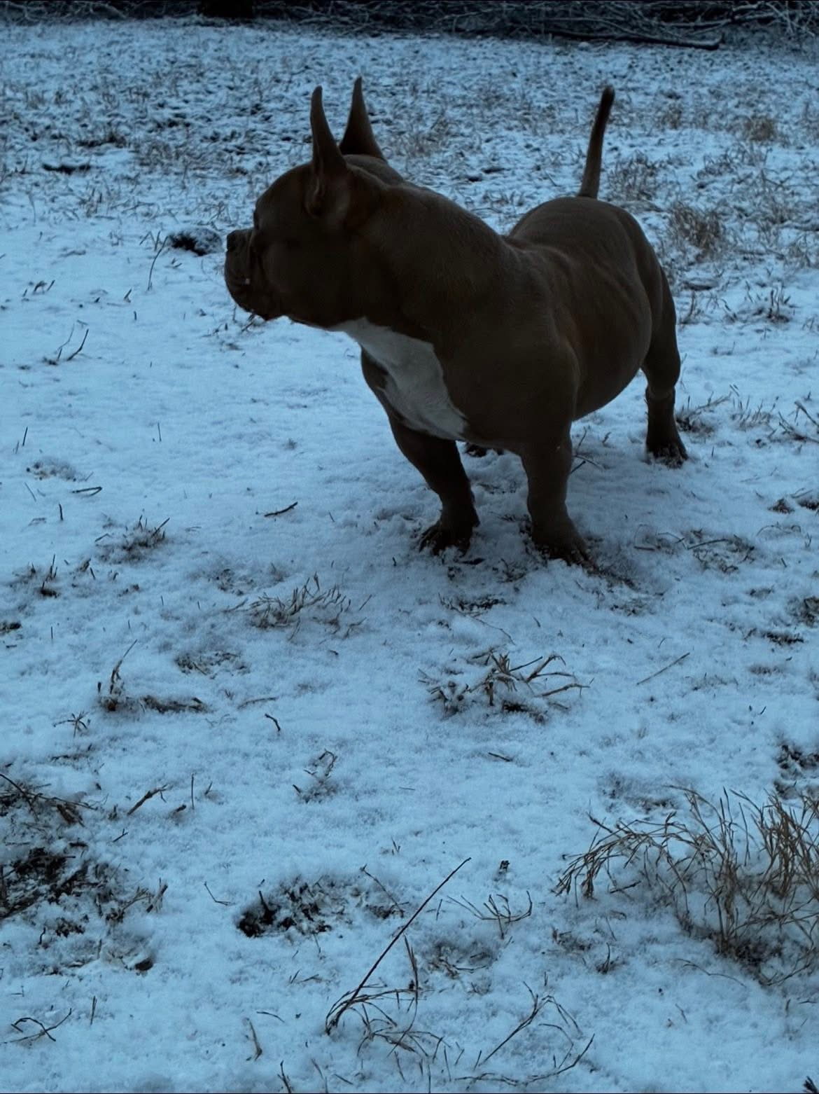 Nick - primary photo